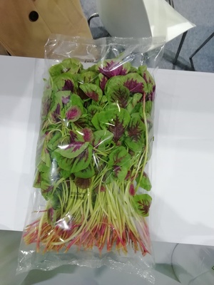 防雾膜（双面电晕）4